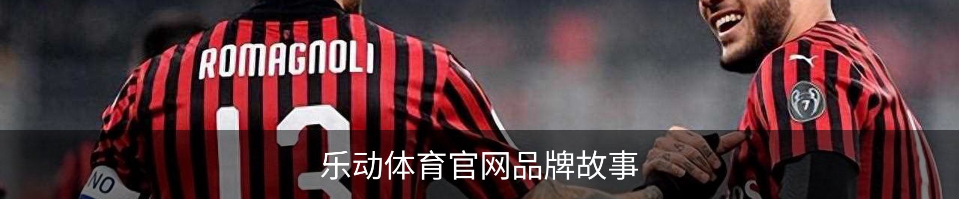 乐动体育官网品牌故事